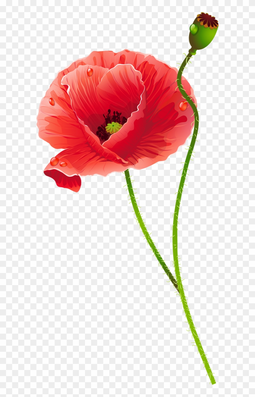 Com/uploads/posts/2015 02/1423552014 Poppies 05 - Маки Вектор Png #292166