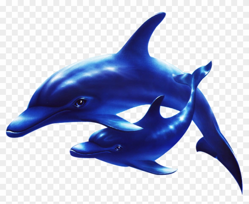 Dolphin Sea Clip Art - Dolphin Sea Clip Art #292873