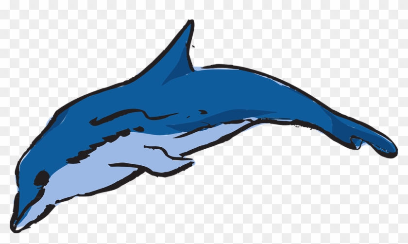 Leaping Dolphin Svg Clip Arts 600 X 331 Px - Warna Ikan Lumba Lumba #292780