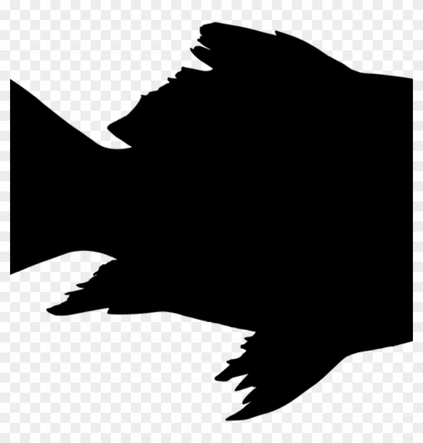 Fish Silhouette Clip Art Fish Animal Silhouette Free - Astatotilapia Burtoni #293424