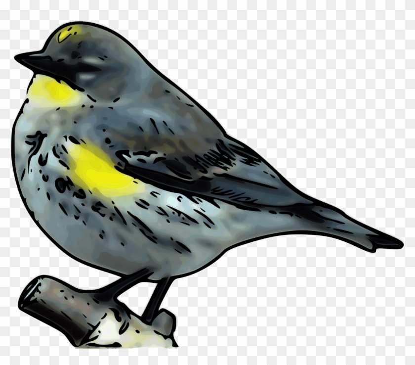 Warbler Png - Warbler Png #294350
