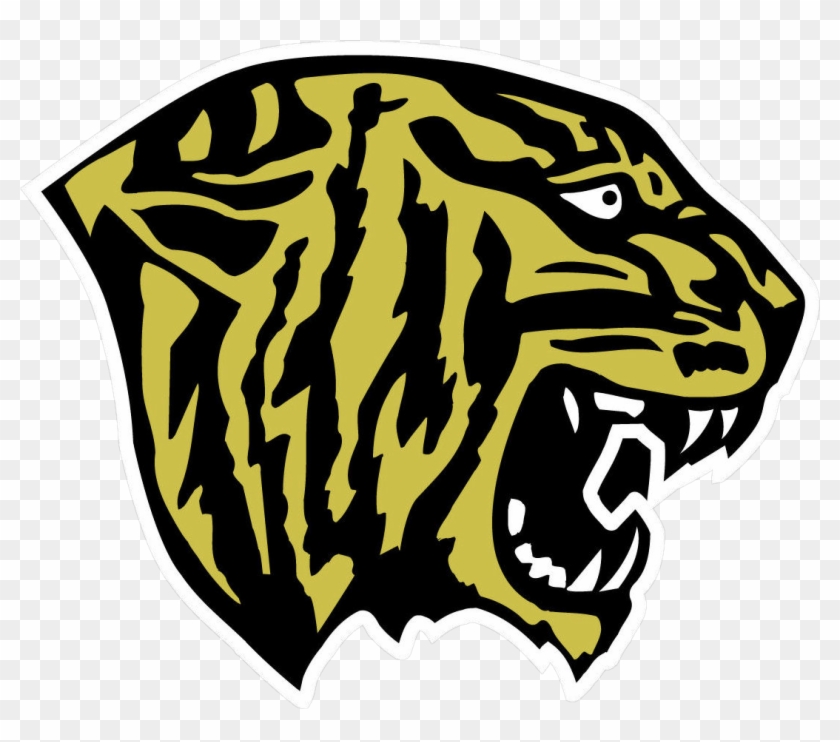 Fridley Tigers - Fridley Tigers #294651