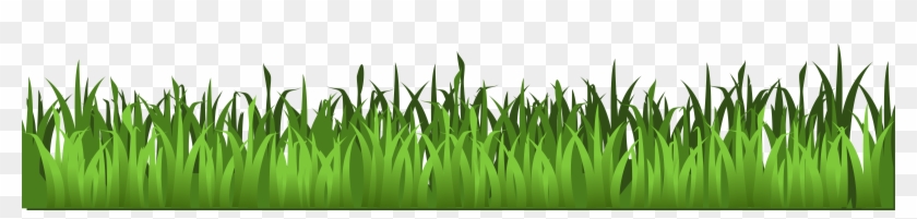 0 Other Images Grass Clipart - Cartoon Grass Transparent Background #294700