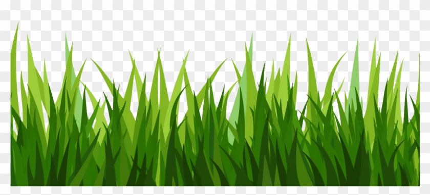 Grass Clipart Image Green - Transparent Background Grass Clipart #294701