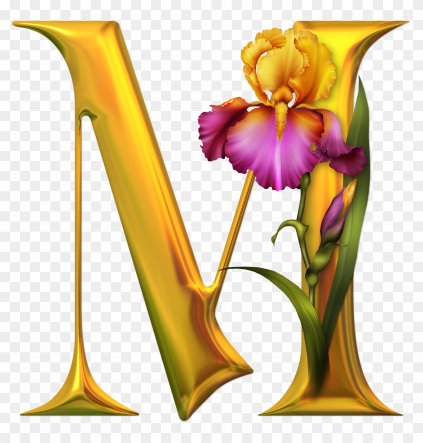 Beautiful Images Of Alphabet M #295723
