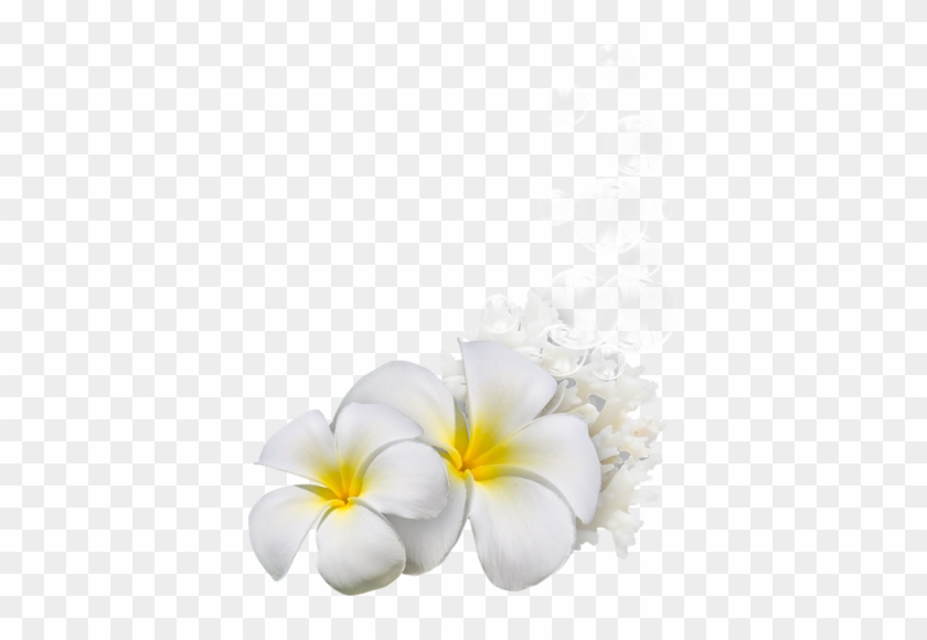 Flowers Png - Clip Art #296897