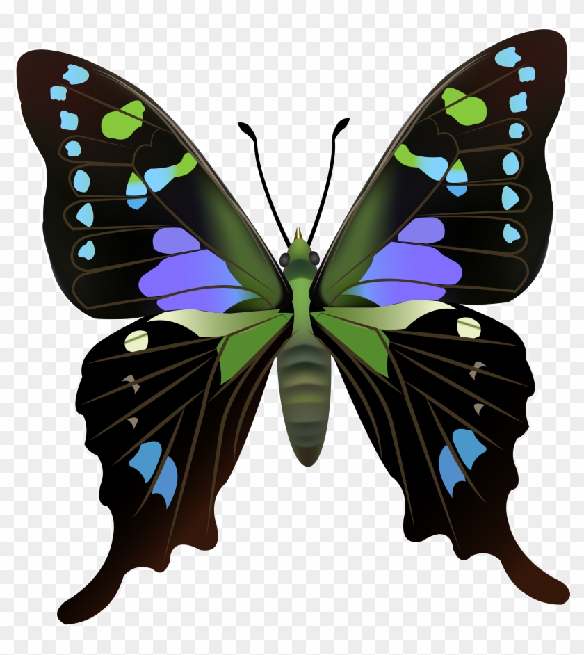 Butterfly Png Clip Art - Butterfly Png Clip Art #297697