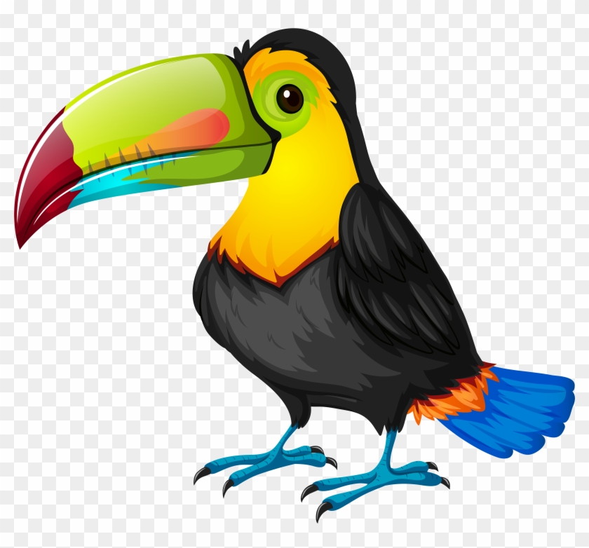 Toucan Cartoon Png Transparent Imageu200b Gallery Yopriceville - Toucan Cartoon Png Transparent Imageu200b Gallery Yopriceville #298300