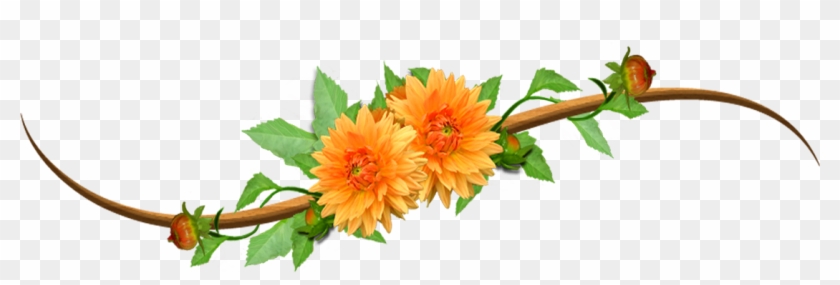 No Orange Clip Art - Orange Flowers Png #299288