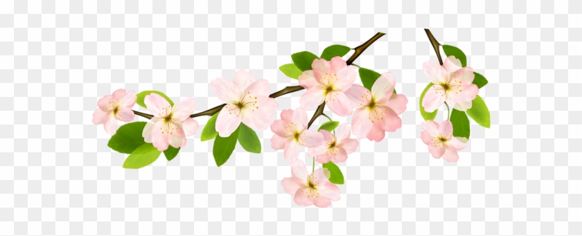 Spring Branch Png Clipart Picture - Grateful Gnome - Hummingbird Feeder - Hand Blown Glass #299362