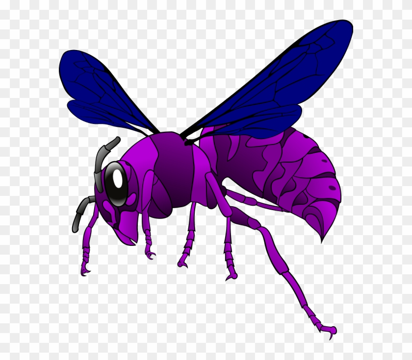 Hornet Vector Clip Art - Hornet Svg #300318