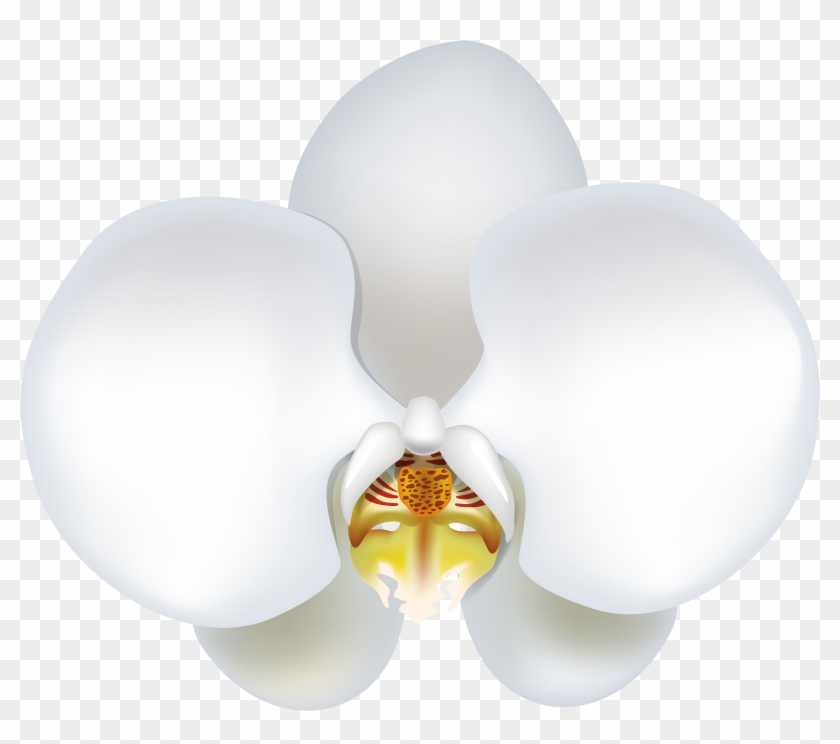 White Orchid Png Clipart - Clip Art #300470