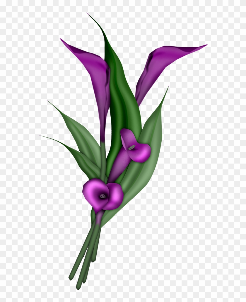 0 7c969 E70ee399 Orig - Calla Lily Blue Png #300502