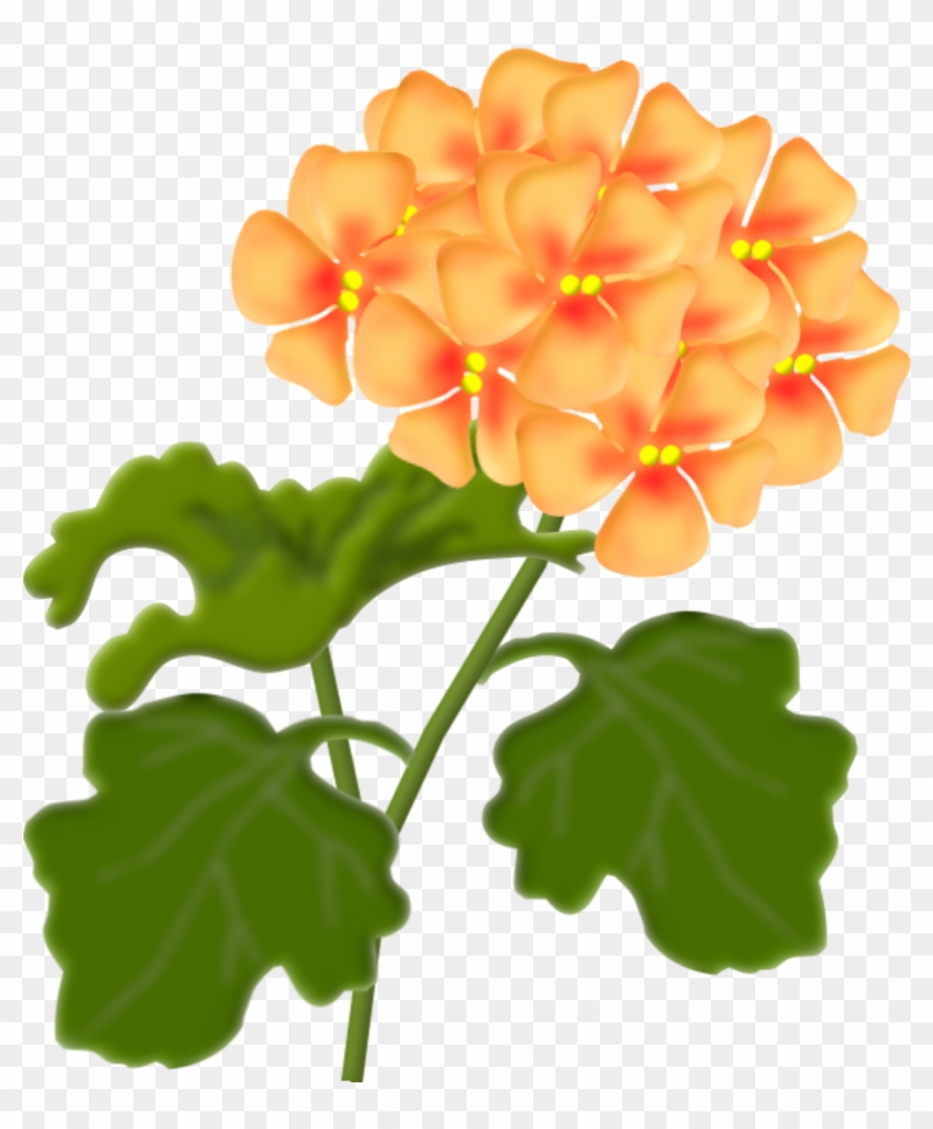 Flower Clipartart - Lantana Clipart #300503