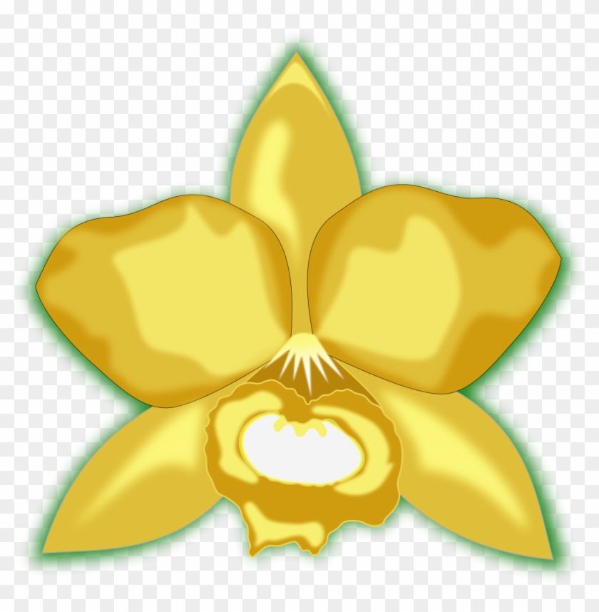 Clip Art Tags - Kartun Bunga Anggrek Kuning #300540
