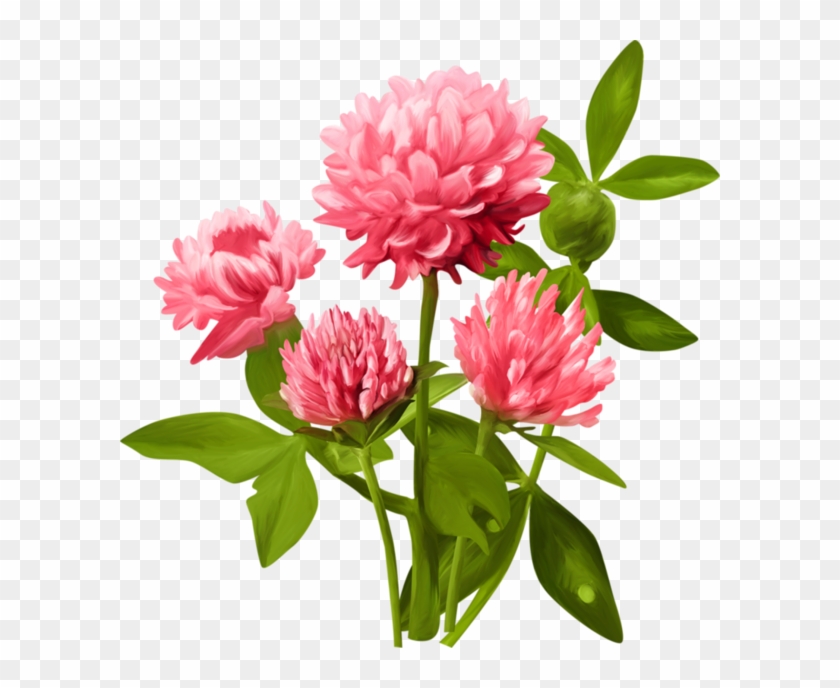 Clip Art - Dobiliukas, Klaipedos Lopselis-darzelis #300886