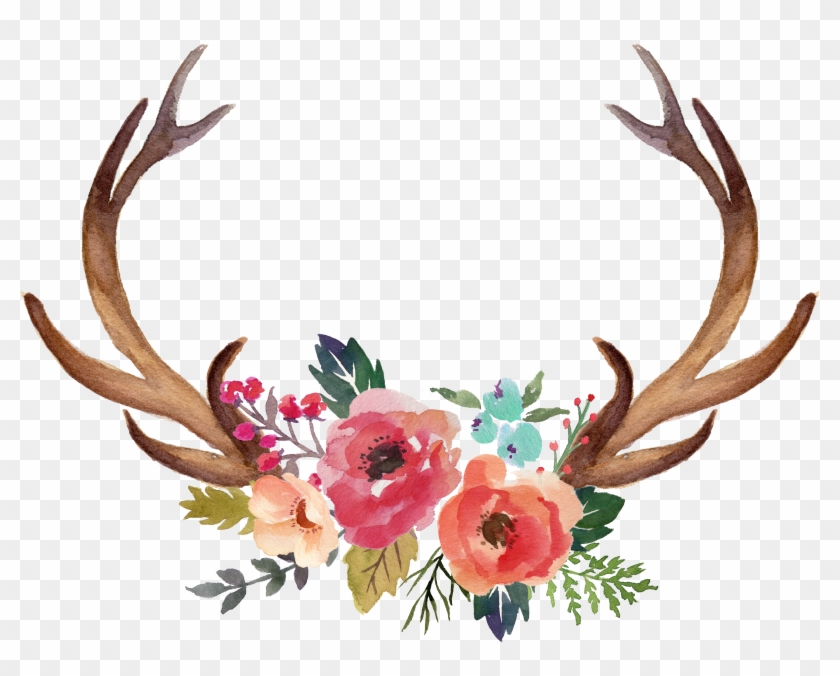 Deer Antler Moose Flower Clip Art - Deer Antler Moose Flower Clip Art #301366