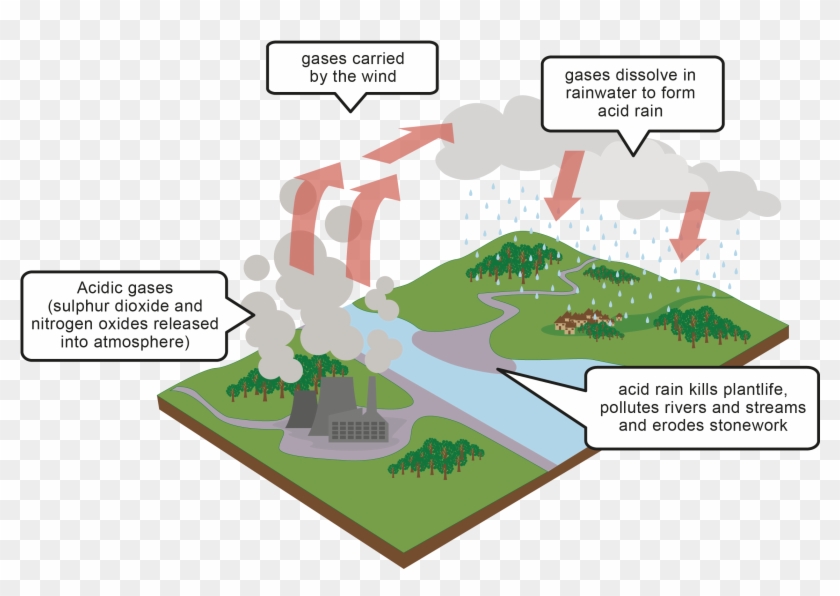 Acid Rain Worksheet Interactive Edplace Rh Edplace - Acid Rain #301813