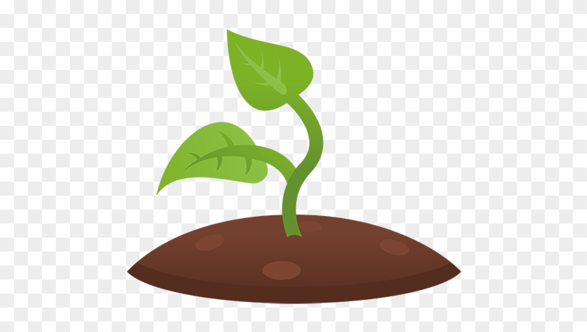 Plant Clipart Plant Shoot - Illustration #302569