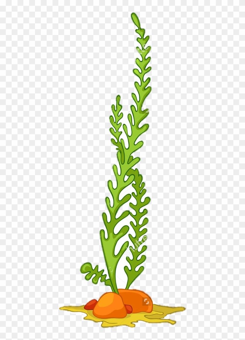 Algae Seaweed Aquatic Plants Clip Art - Algae Vector #302596