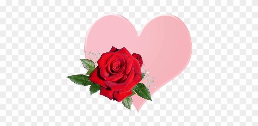 Pink Heart #302646