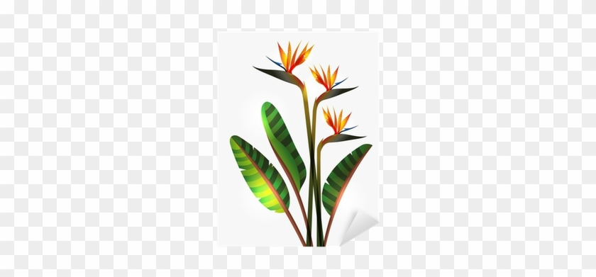 World Menagerie Greve Strand Flower Ombre Colored Botanic #303022