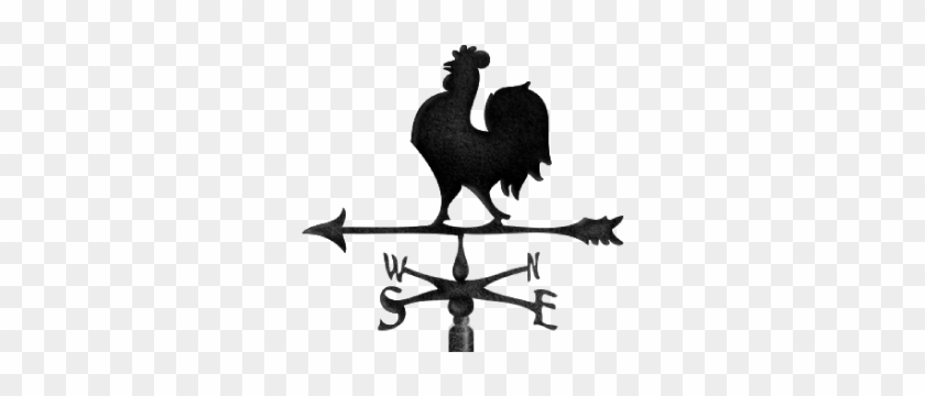 Vane Eng - Galo De Celeiro Png #303609