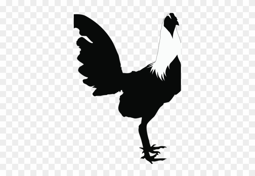 6855 Free Chicken Vector Silhouette Public Domain Vectors - Gallo Vector Silueta #303711