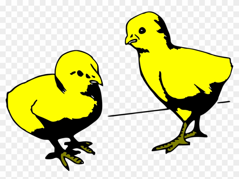 Two, Young, Cartoon, Chicken, Colored, Chick - Cartoon Baby Chicks Gif #304044