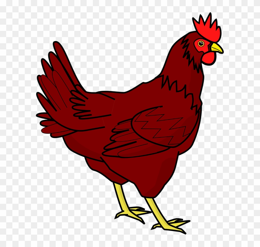 Chicken Png Transparent Image - Hen Clipart #304152