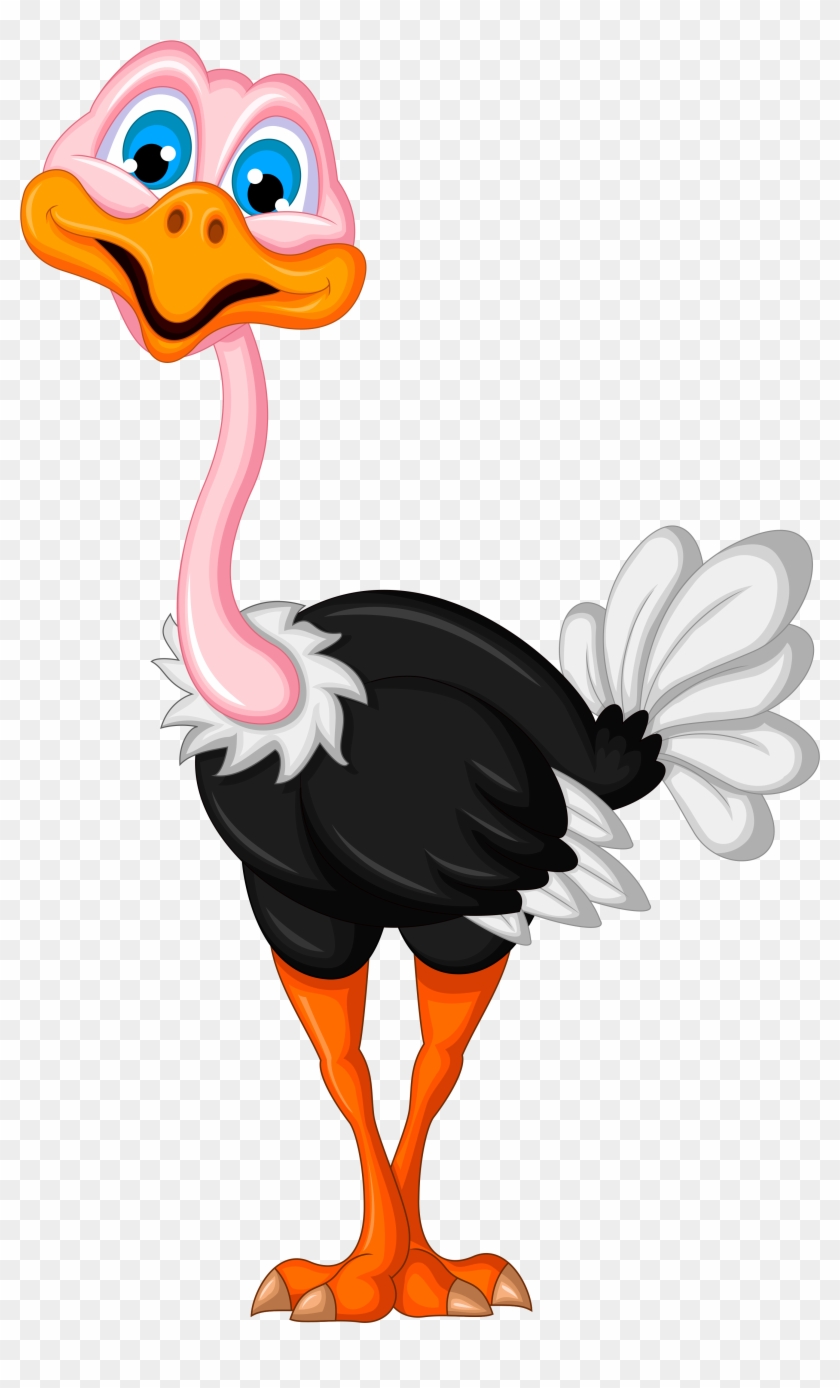 0 F5d56 B7996ebe Orig - Cartoon Images Of Ostrich #304201