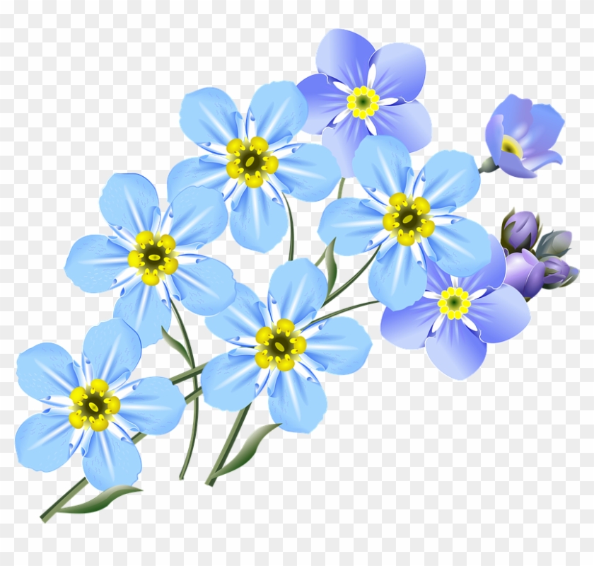 More Images Of Forget Me Not Clip Art Free - Forget Me Not Flower Drawing #304252