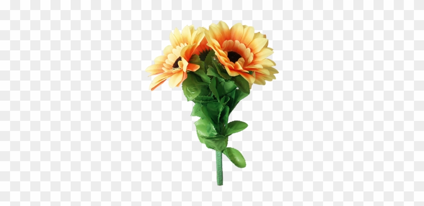 This Is Another Version Of Wilting Rose Or Dropping - Amazing Split Sunflower By Premium Magic #304740