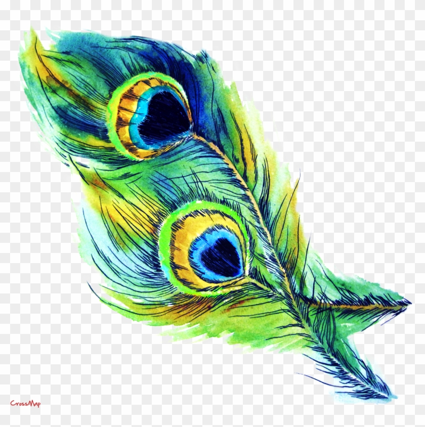 Eye Feather Christian Clip Art - Peacock Feather Clip Art Free Download #306091