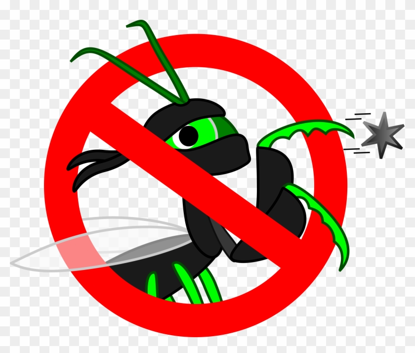 Heisenbug #306064