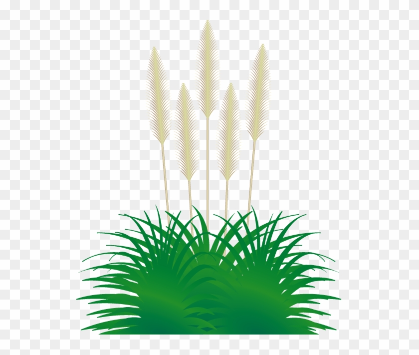 Pompous Clipart - - Grasses #306122