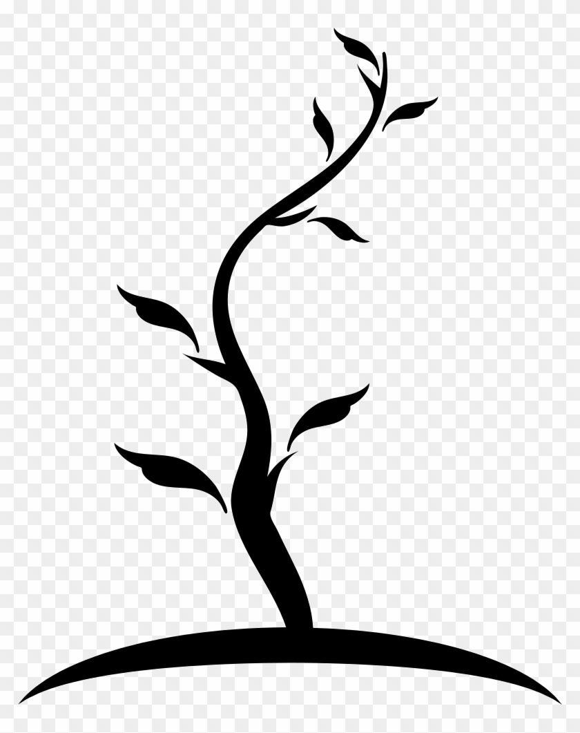 Tree Thin Shape Of Young Trunk With Few Leaves Comments - Young Tree Icon #306561