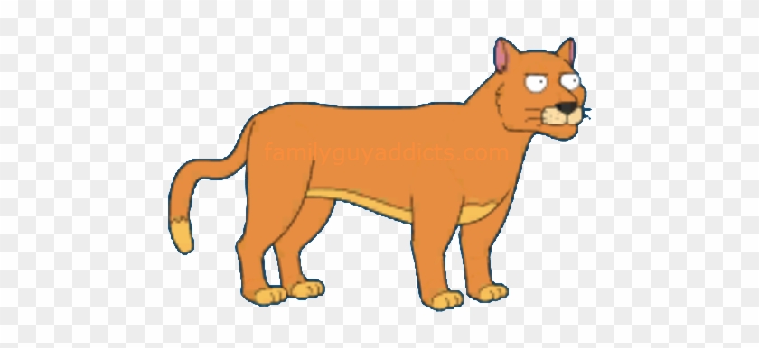 Predatory Mountain Lion - Mountain Lion Family Guy #306722
