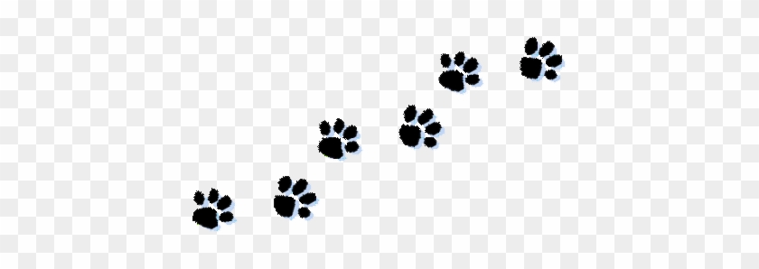 Lion Paw Print Clip Art - Transparent Cat Paw Prints #306730