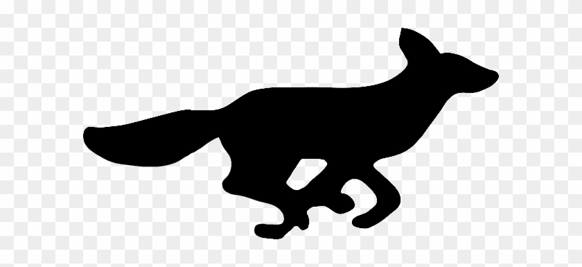 Fox Run Consulting - Marine Mammal #306946