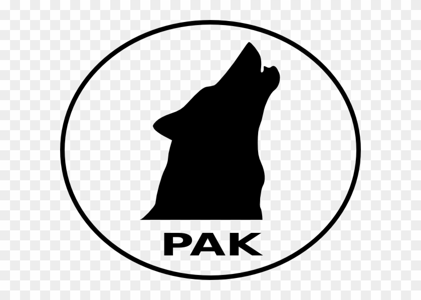 Gray Wolf #307250