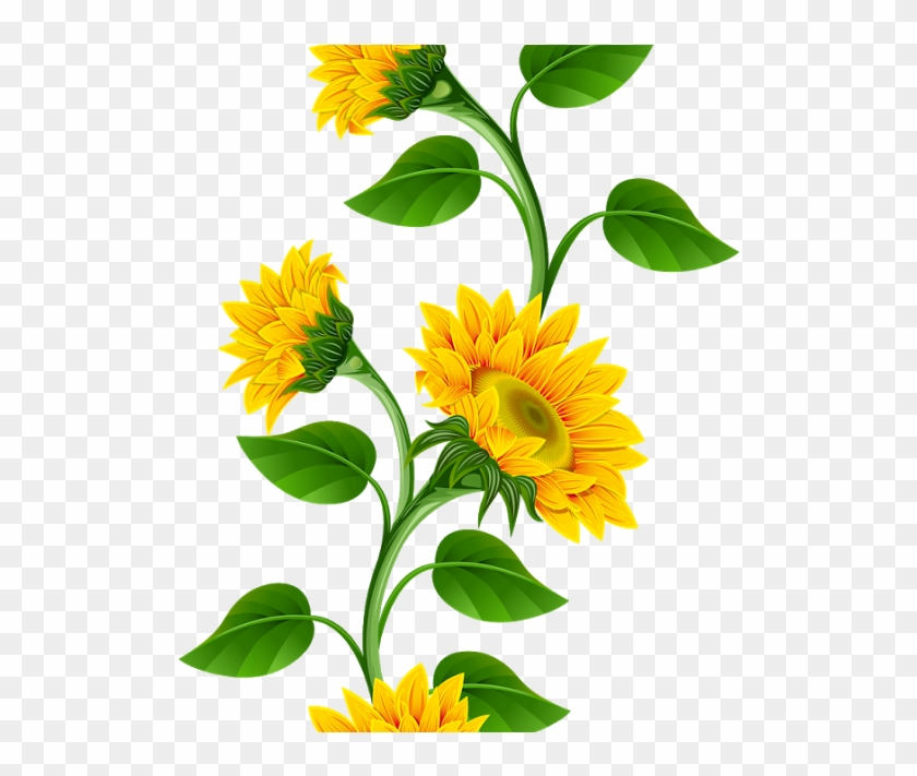Clipart De Girassol Para Montagens Digitais - Sunflower Border #307322
