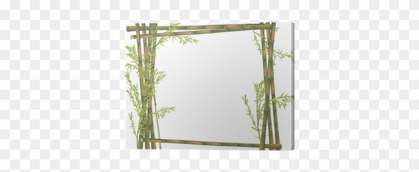 Bamboo #307482