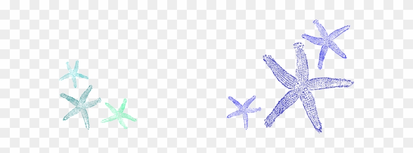 Starfish Borders Clipart - Beach #308333