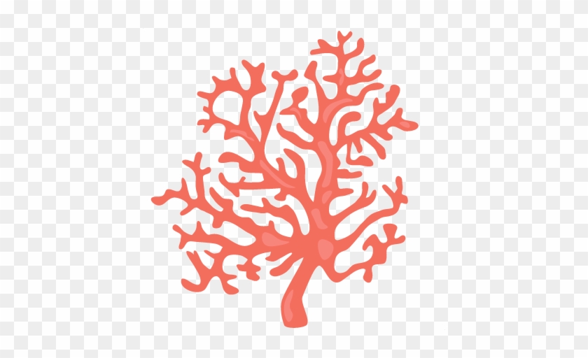 Coral Reef Clipart Orange Coral - Transparent Background Coral Clipart #310811