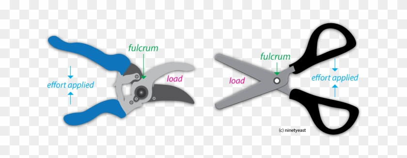 Different Types Of Levers, Cephalic Vein - Type Of Lever Is Scissors #311629
