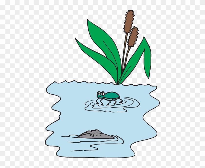 Water Boils At 212° F And Freezes At 32° F (0° C) At - Bug #311737