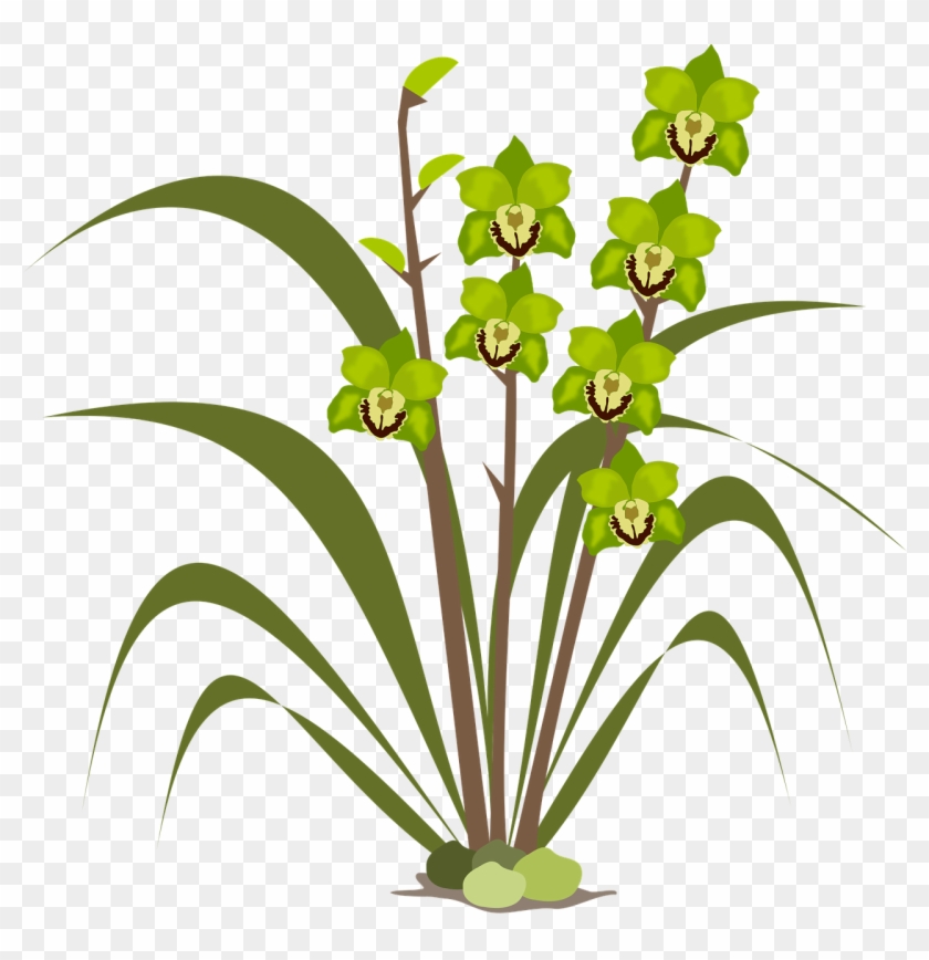 Clip Art Flor Flora Flower Png Image - Clip Art Flor Flora Flower Png Image #313395