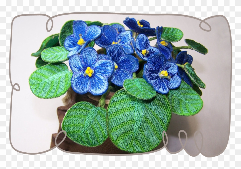 Blue African Violet - African Violets #313551