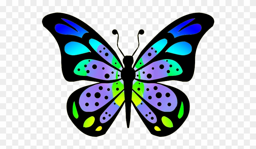 How To Draw A Realistic Butterfly Youtube - Butterfly Drawing #313852